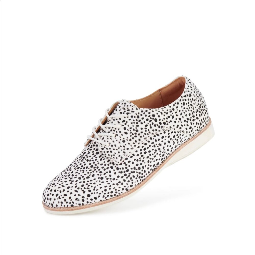 Derby Snow Leopard